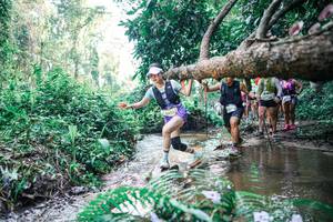 BIB: 
                            <button type="button" onclick="openModal(25462170)" class="btn btn-primary btn-sm float-right btn-popup" data-toggle="modal" data-target=".modal-high-quality">
                        <i class="fas fa-shopping-cart"></i> Add to Cart
                    </button>
                                            <button type="button" onclick="isThisMe(25462170, true)" class="btn btn-success btn-sm float-right btn-popup btn-isme hidden" data-toggle="tooltip" data-placement="bottom" title="นี่คือรูปของคุณใช่ไหม คลิกที่นี่เพื่อเอาเข้าอัลบั้ม">
                        <i class="fas fa-plus"></i> Add to album
                    </button>
                    <button type="button" onclick="isThisMe(25462170, false)" class="btn btn-warning btn-sm float-right btn-popup btn-isnotme hidden">
                        <i class="fas fa-ban"></i> Remove from album
                    </button>